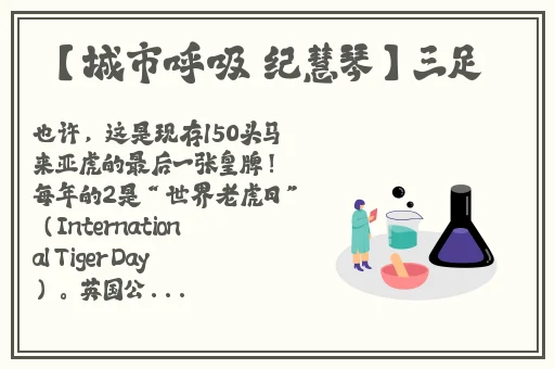 黑土脚法腿法娴熟出处