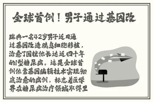 精品无码在线观看