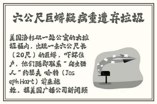 初中生一小时50元